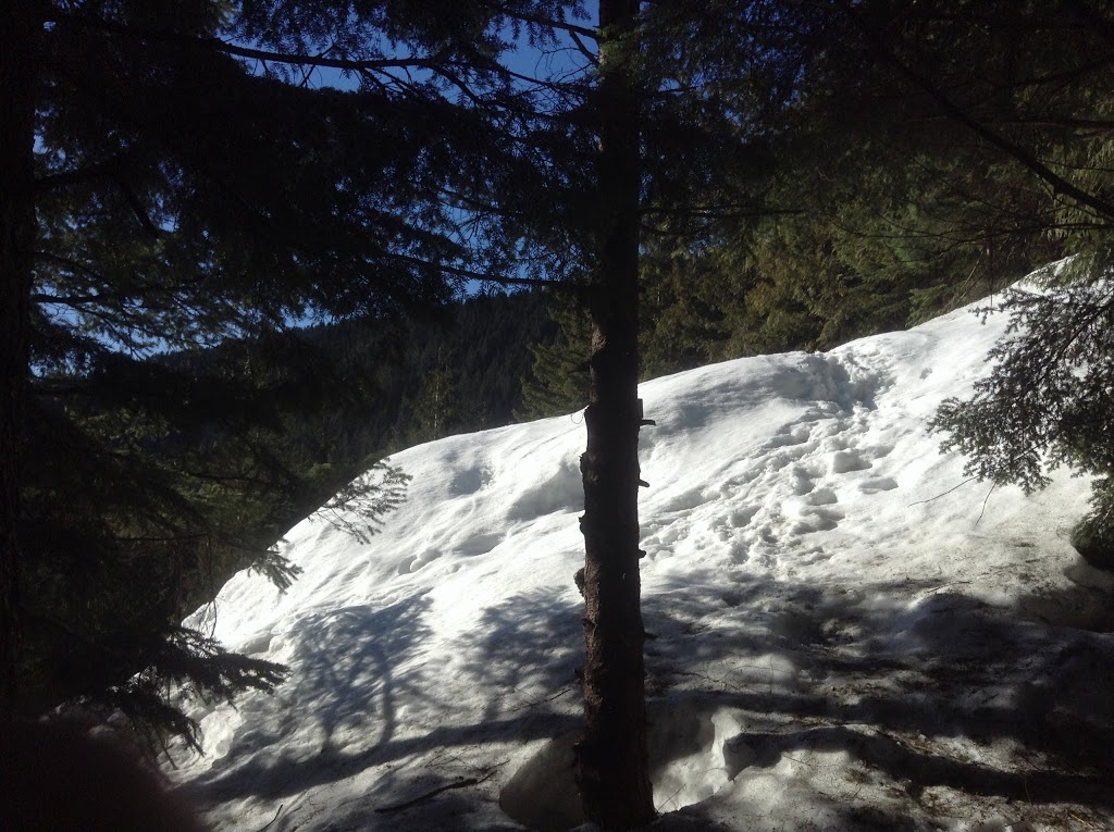 Munro Lake Trail Lookout | Coquitlam, BC V3E 3H1, Canada