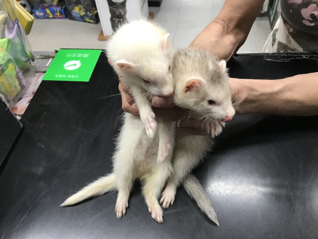 King Ed Pet Centre Ltd | 7377 Kingsway, Burnaby, BC V3N 3B8, Canada | Phone: (604) 525-4955