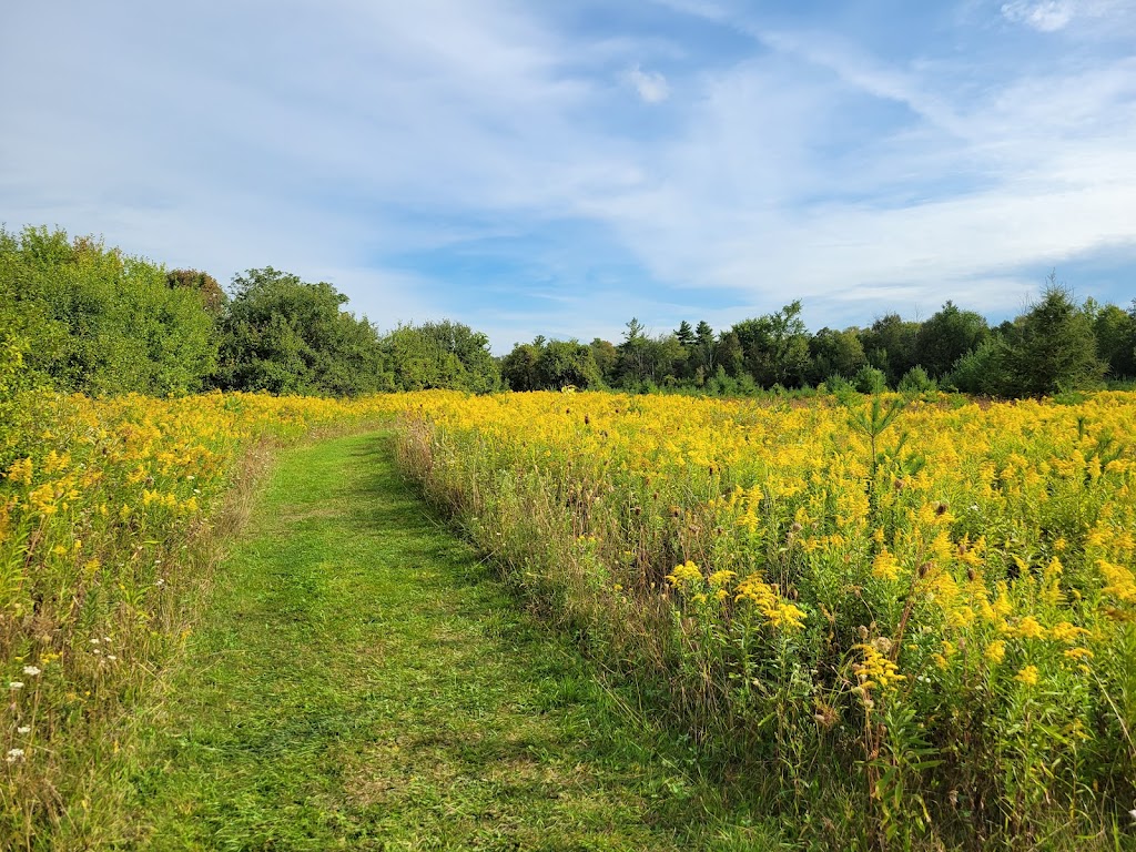 Marden Creek Hike - Parking Lot | Rockwood, ON N1H 6J2, Canada | Phone: (519) 824-1250 ext. 224