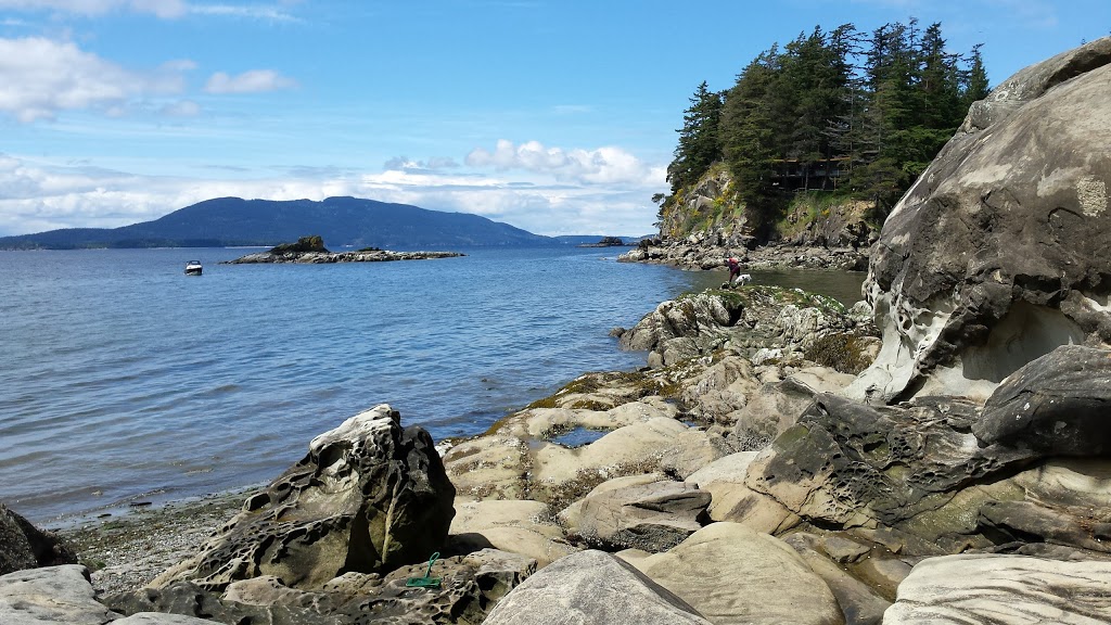 Larrabee State Park | 245 Chuckanut Dr, Bellingham, WA 98229, USA | Phone: (360) 676-2093