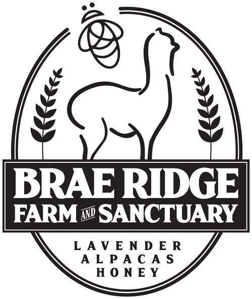 Brae Ridge Farm & Sanctuary | 7667 Maltby Rd E, Puslinch, ON N0B 2J0, Canada | Phone: (226) 924-4065
