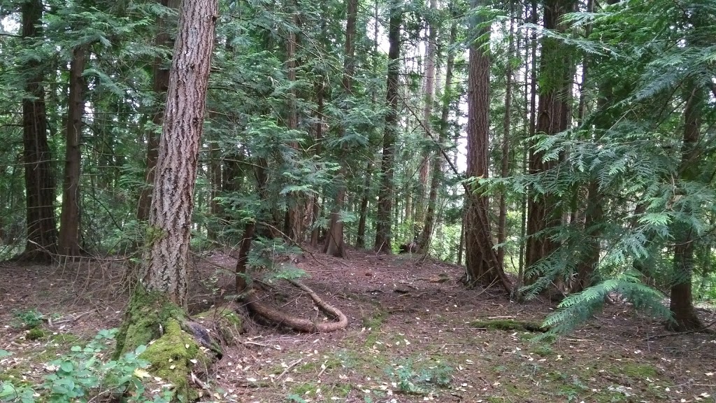 Bear Hill Regional Park - Main Parking Lot | Bear Hill Rd, Saanich, BC V9E 2J3, Canada