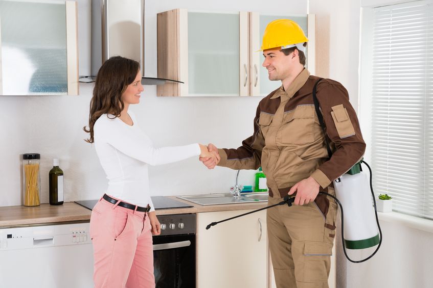 New Westminster | Ants ,Bed Bugs,Rat ,Cockroach,Mice Exterminator| Pestzap | 829 13th St, New Westminster, BC V3M 5Z7, Canada | Phone: (778) 875-4770