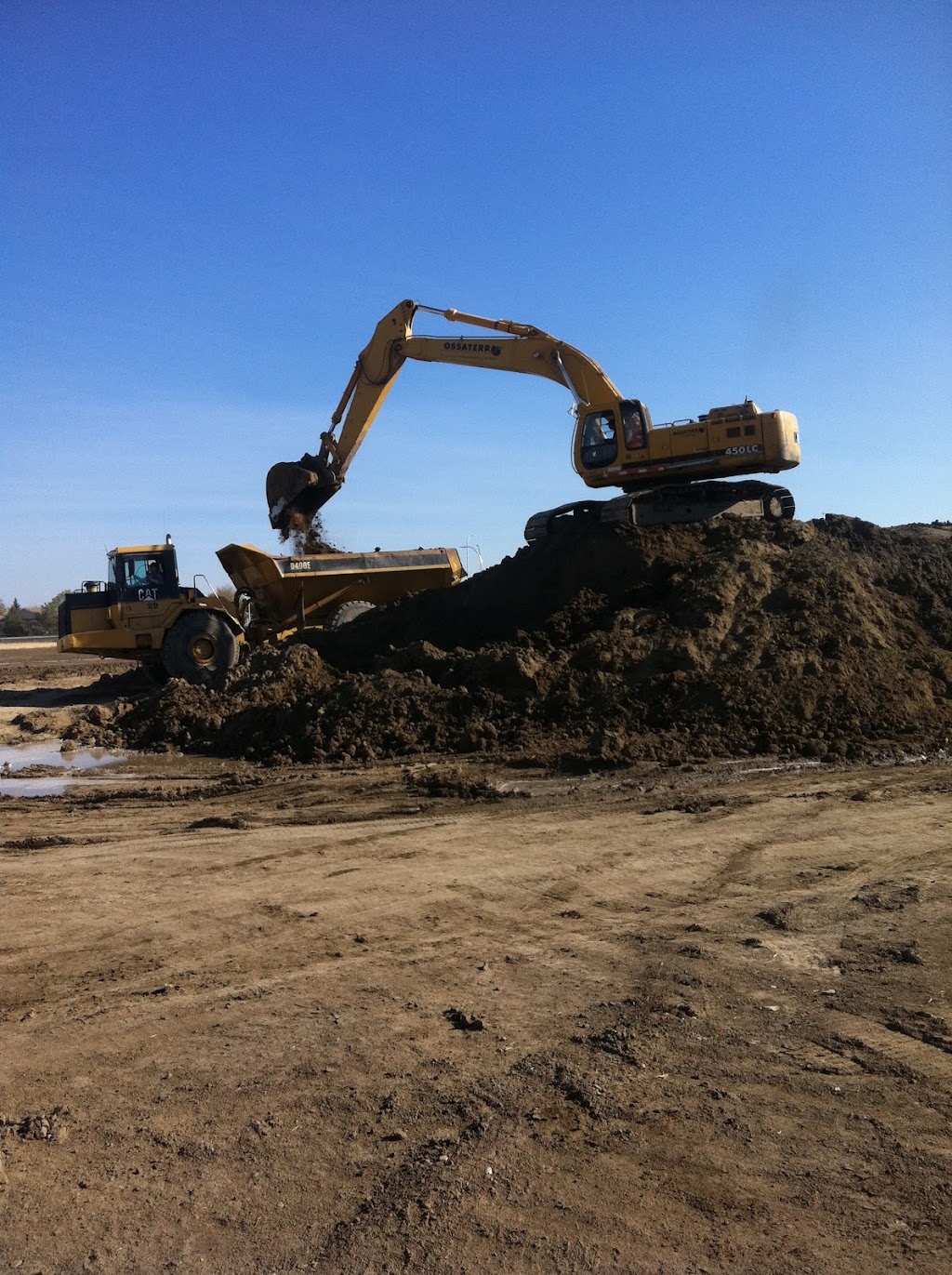 Ossa Terra Ltd | 819A 44 St N Unit 201, Lethbridge, AB T1H 6N4, Canada | Phone: (403) 328-5882