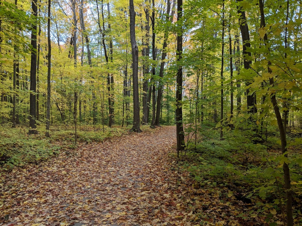 Larande Park | Brampton, ON L6Y, Canada