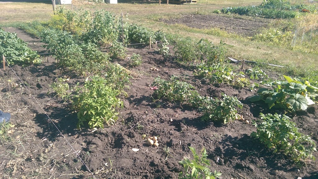 Aspen Community Garden | Aspen Dr, Blackfalds, AB T0M 0J0, Canada | Phone: (403) 885-4677