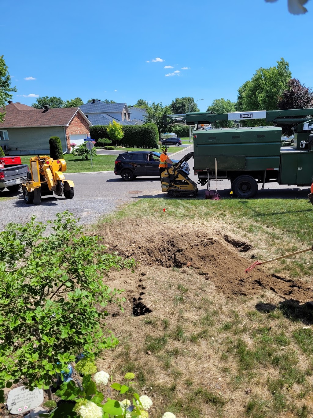 Next Level Tree Services Inc. | 4355 Thunder Rd, Gloucester, ON K1G 3N4, Canada | Phone: (613) 323-4518