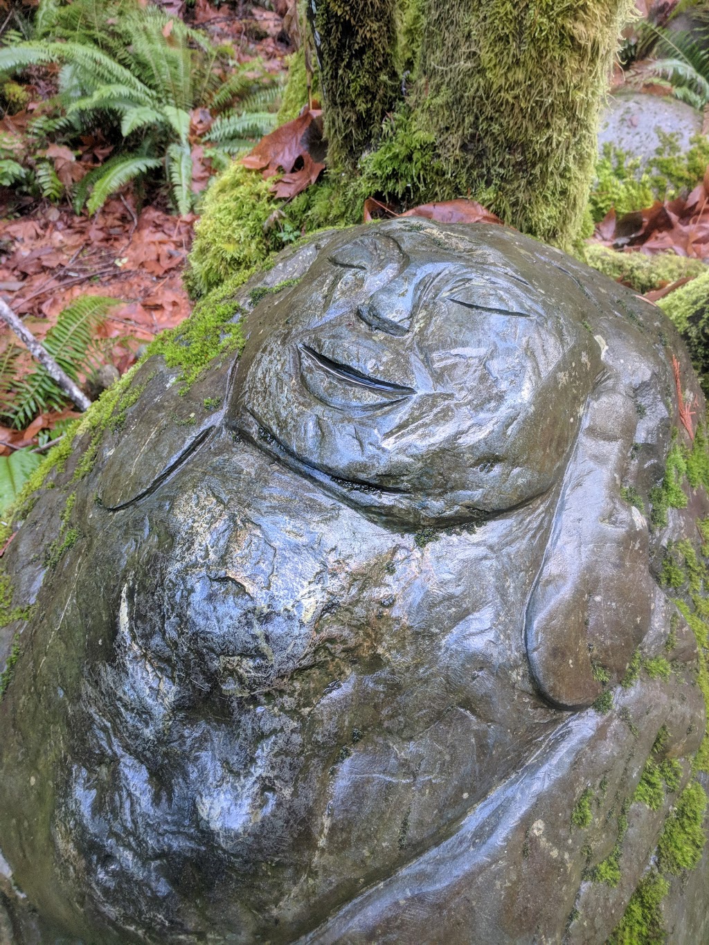 Holland Creek Trail | Heart Lake Trail, Ladysmith, BC V9G 1V4, Canada