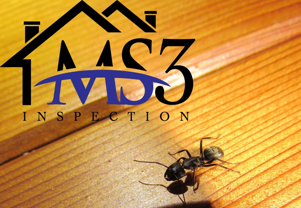MS3 Inspection | 221 Rue Michelle, Sherrington, QC J0L 2N0, Canada | Phone: (514) 515-3343