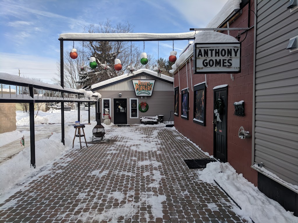 Peters Players | 830 Muskoka Rd S, Gravenhurst, ON P1P 1K3, Canada | Phone: (705) 687-2117