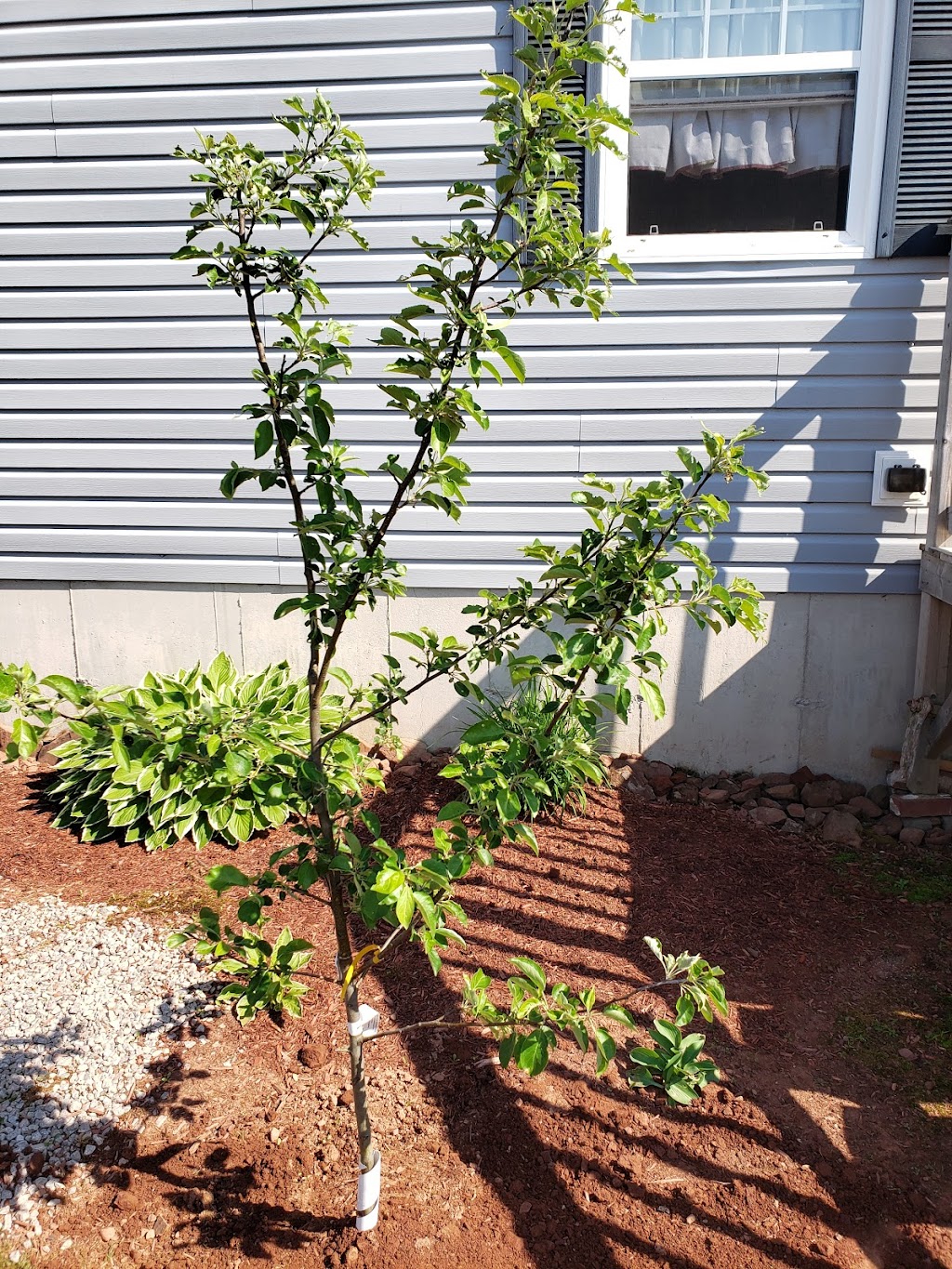 Island Pride Garden Co | 19905 All Weather Hwy, Hunter River, PE C0A 1N0, Canada | Phone: (902) 964-2444