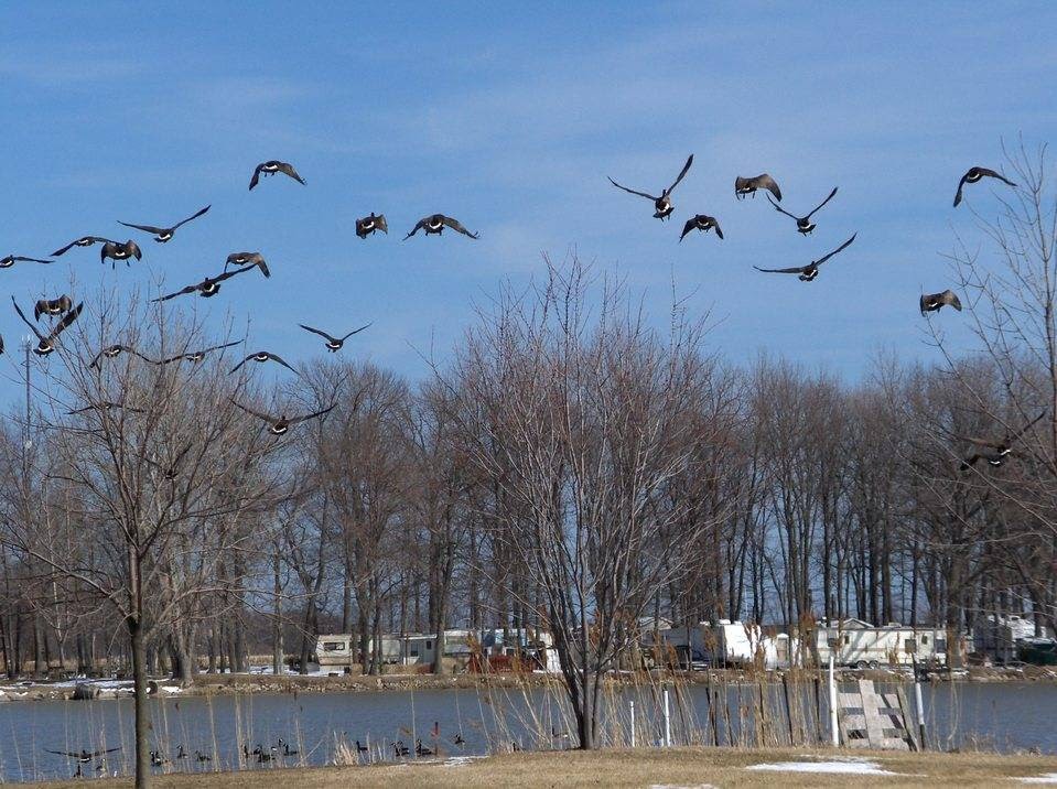 Pelee Getaway Bed & Breakfast | 572 Bevel Line Rd, Leamington, ON N8H 3V4, Canada | Phone: (519) 322-2424