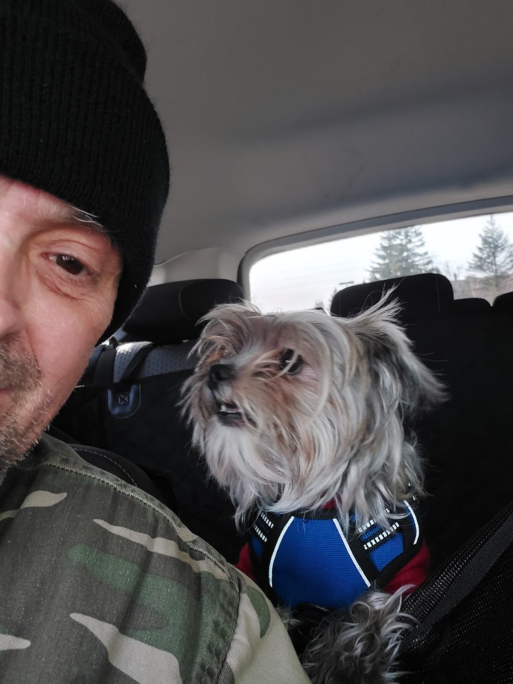 Scruff To Fluff | 152 Pleasant Dr, Head of Chezzetcook, NS B0J 1N0, Canada | Phone: (902) 827-4959
