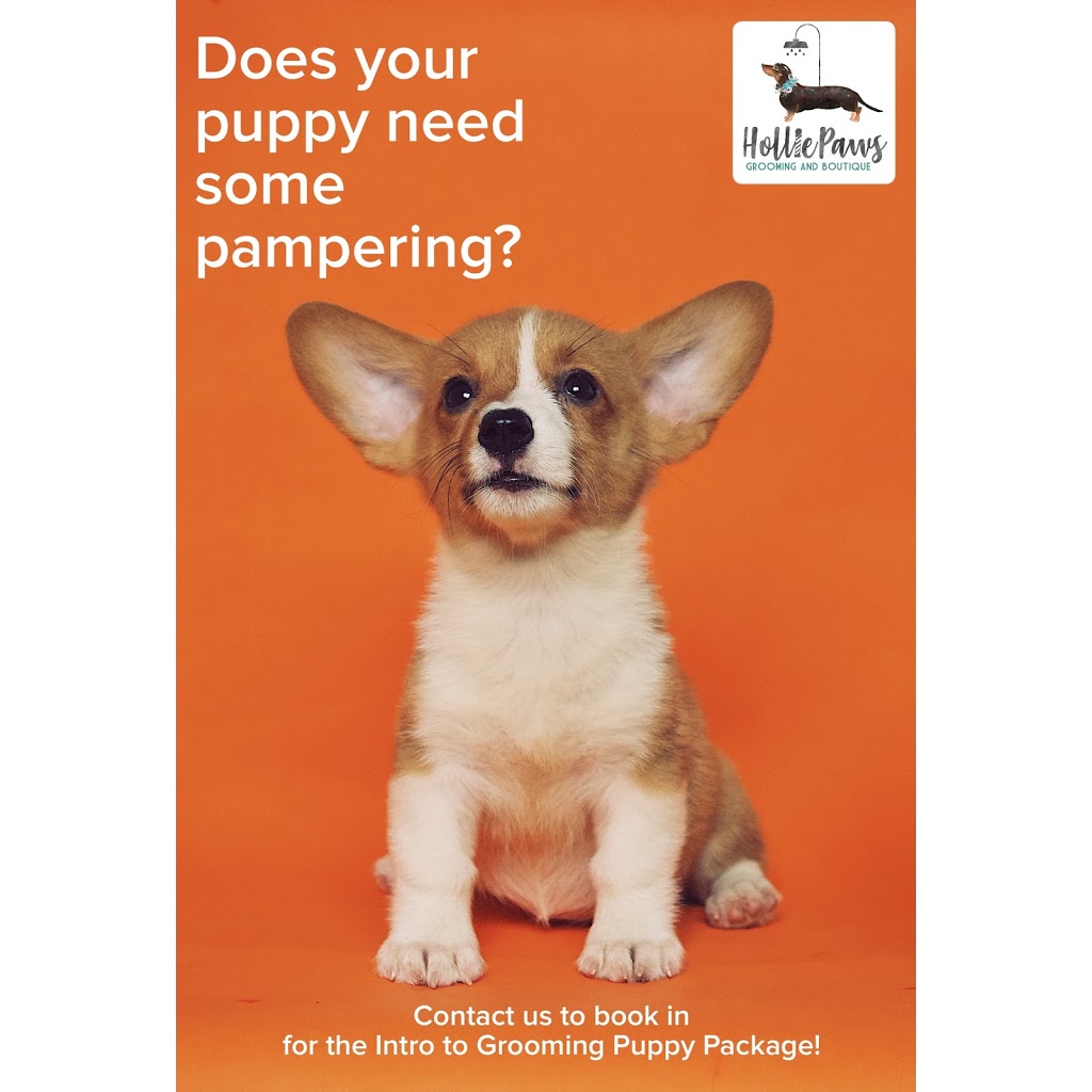 HolliePaws Grooming and Boutique | 4142 Newtonville Rd, Newtonville, ON L0A 1J0, Canada | Phone: (905) 243-6944