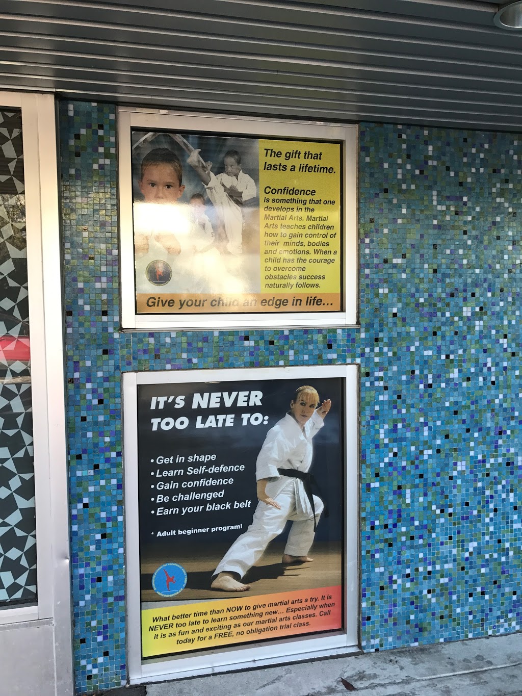 Vancouver Martial Arts | 494 W 39th Ave, Vancouver, BC V5Y 2P7, Canada | Phone: (604) 321-3454