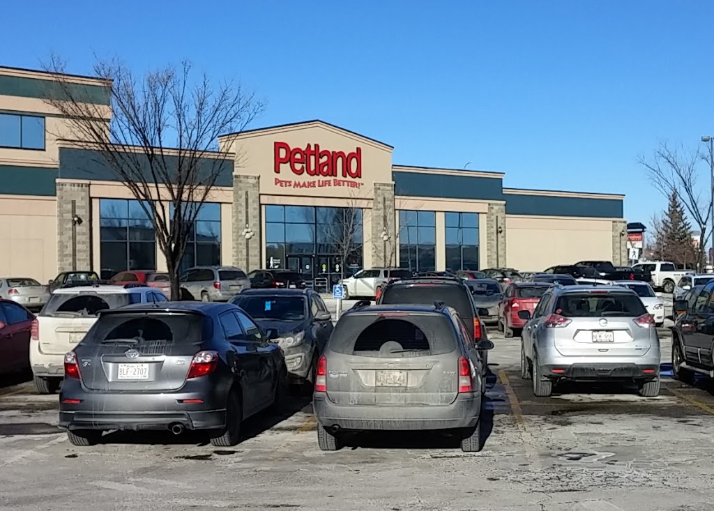 Petland | Shawnessy, 580, 303 Shawville Blvd SE, Calgary, AB T2Y 3W6, Canada | Phone: (403) 508-0040