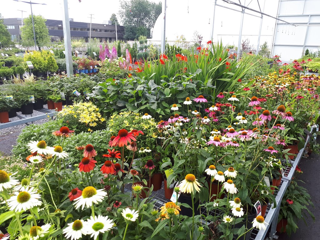 Jardin Hamel | 6029 Boulevard Wilfrid-Hamel, LAncienne-Lorette, QC G2E 2H3, Canada | Phone: (418) 872-9705