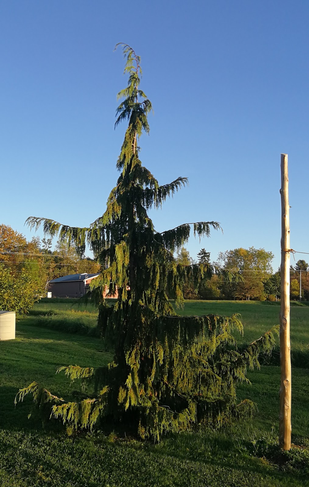 Riverside Seasonal Campground | Kingston, NB E5S 1X6, Canada | Phone: (506) 643-1979