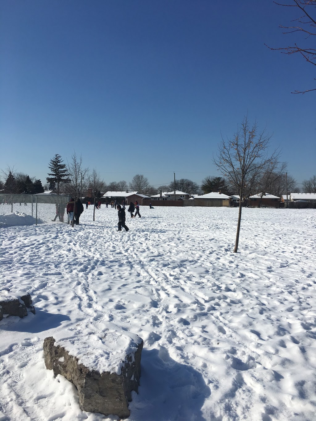 M.S. Hetherington Public School | 8800 Menard St, Windsor, ON N8S 1W4, Canada | Phone: (519) 948-0951