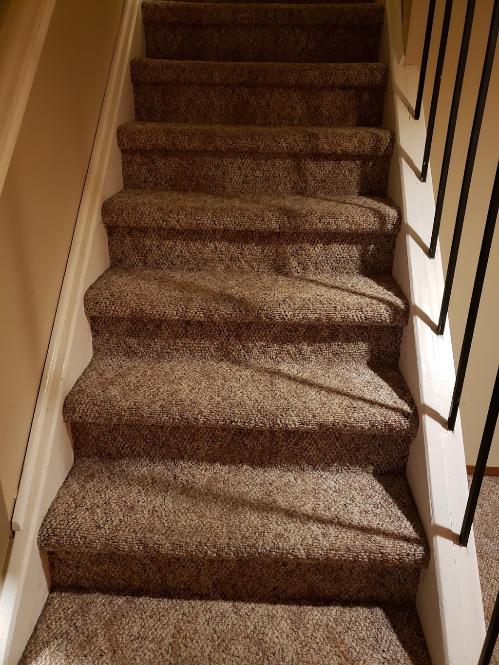 KC Carpet Cleaning Winnipeg | 200 Beliveau Rd, Winnipeg, MB R2M 1T2, Canada | Phone: (204) 995-7992