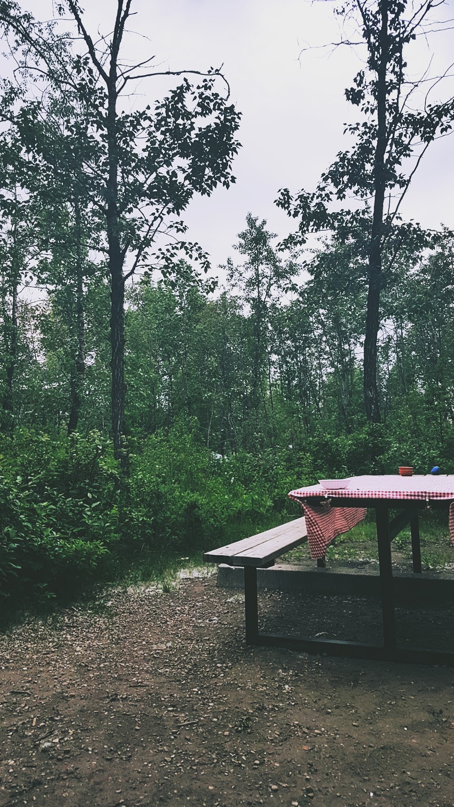 Brewers Campground | Lacombe County, AB T0C 0J0, Canada | Phone: (403) 748-1123