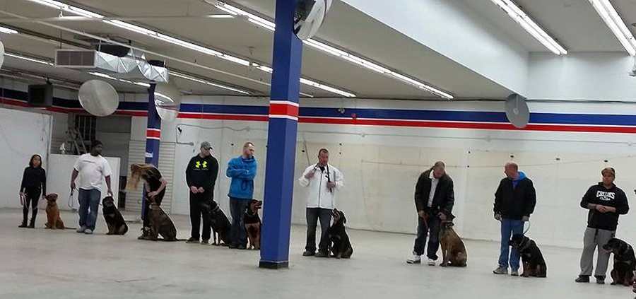 Toronto K9 Center | 713 Krosno Blvd Unit #4, Pickering, ON L1W 1G4, Canada | Phone: (905) 914-5534