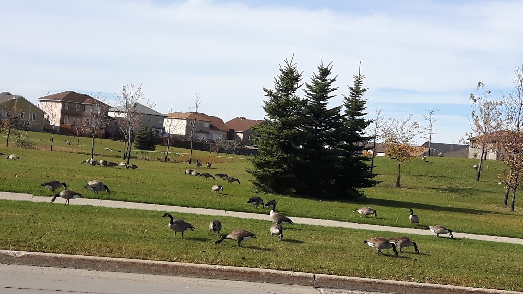 Kirkbridge Park | 119 Kirkbridge Dr, Winnipeg, MB R3T 5K2, Canada | Phone: (877) 311-4974