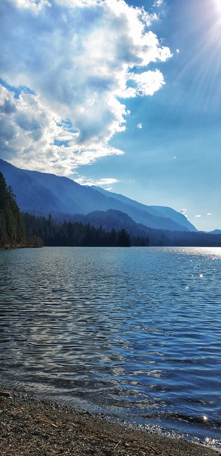 Cultus Lake Provincial Park - 3179 Columbia Valley Hwy, Cultus Lake, BC ...