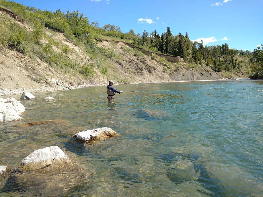 Castle River Rodeo Campground | HWY 507, Pincher Creek No. 9, AB T0K 1H0, Canada | Phone: (403) 627-7409