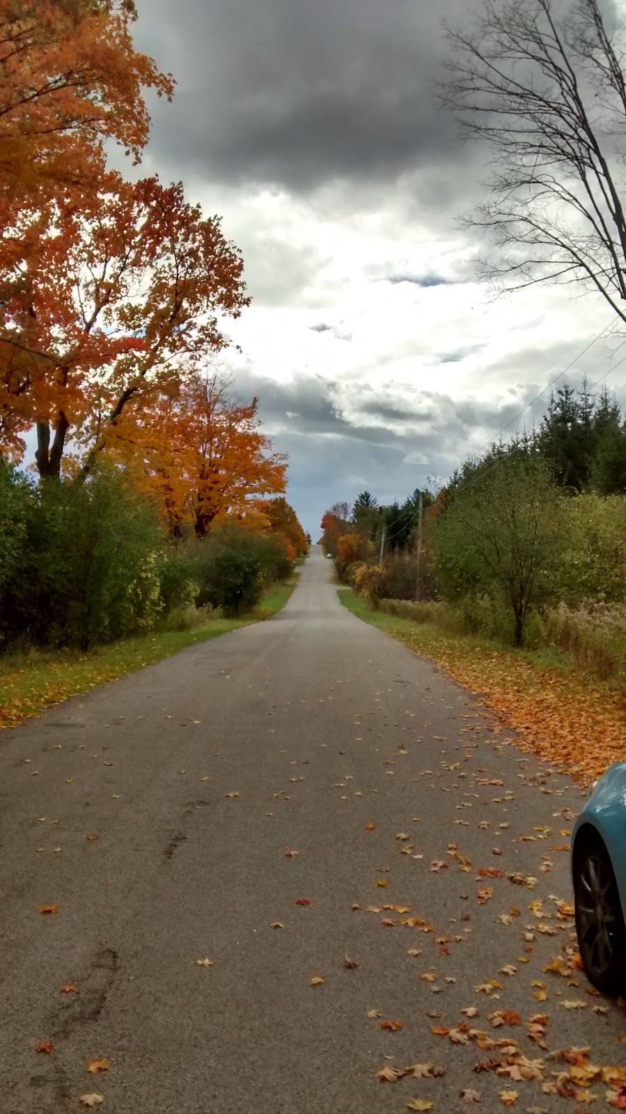 Hiking Trail Entrance | 8000 Conservation Rd #7732, Guelph, ON N1H 6J1, Canada