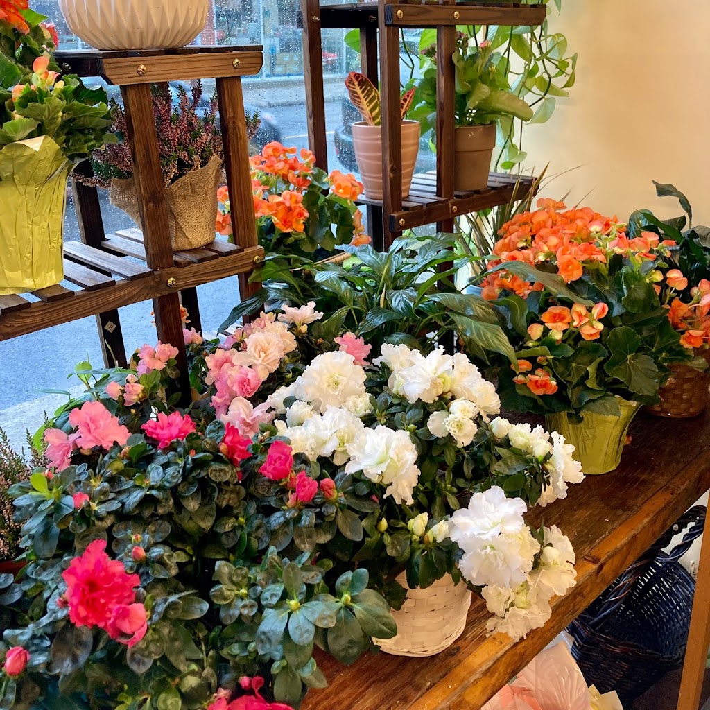 Edgewood Florist | 675 Rue Notre Dame, Lachine, QC H8S 2B3, Canada | Phone: (514) 484-2333