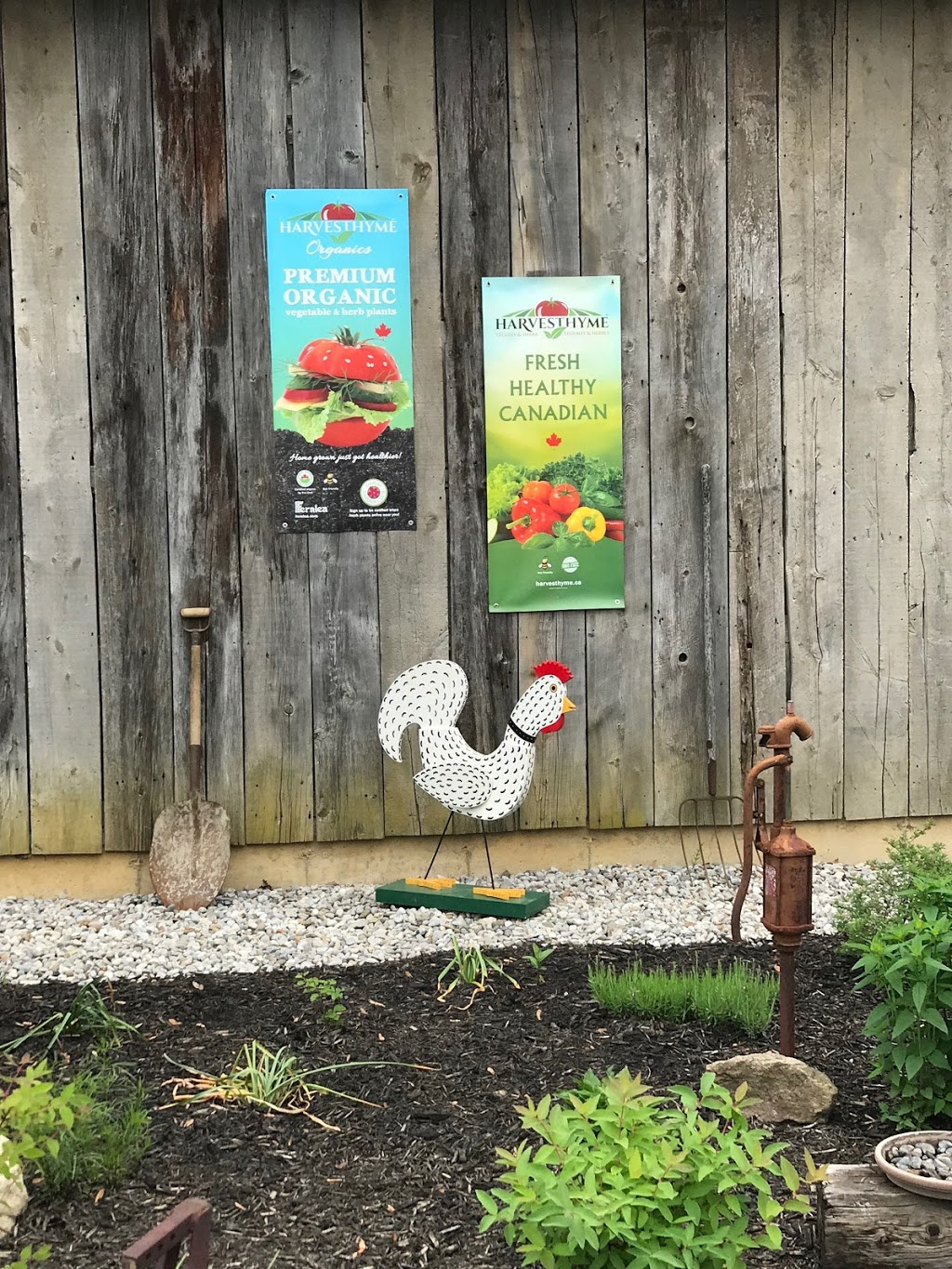 Charlotteville Brewing Company | 1207 Charlotteville West Quarter Line, Simcoe, ON N3Y 4K1, Canada | Phone: (519) 619-7868
