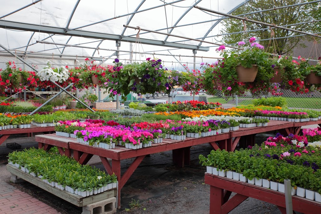 Gauthier Fleurs et Jardins | 4936 Boul Gene-H.-Kruger, Trois-Rivières, QC G9A 4N1, Canada | Phone: (819) 375-4813