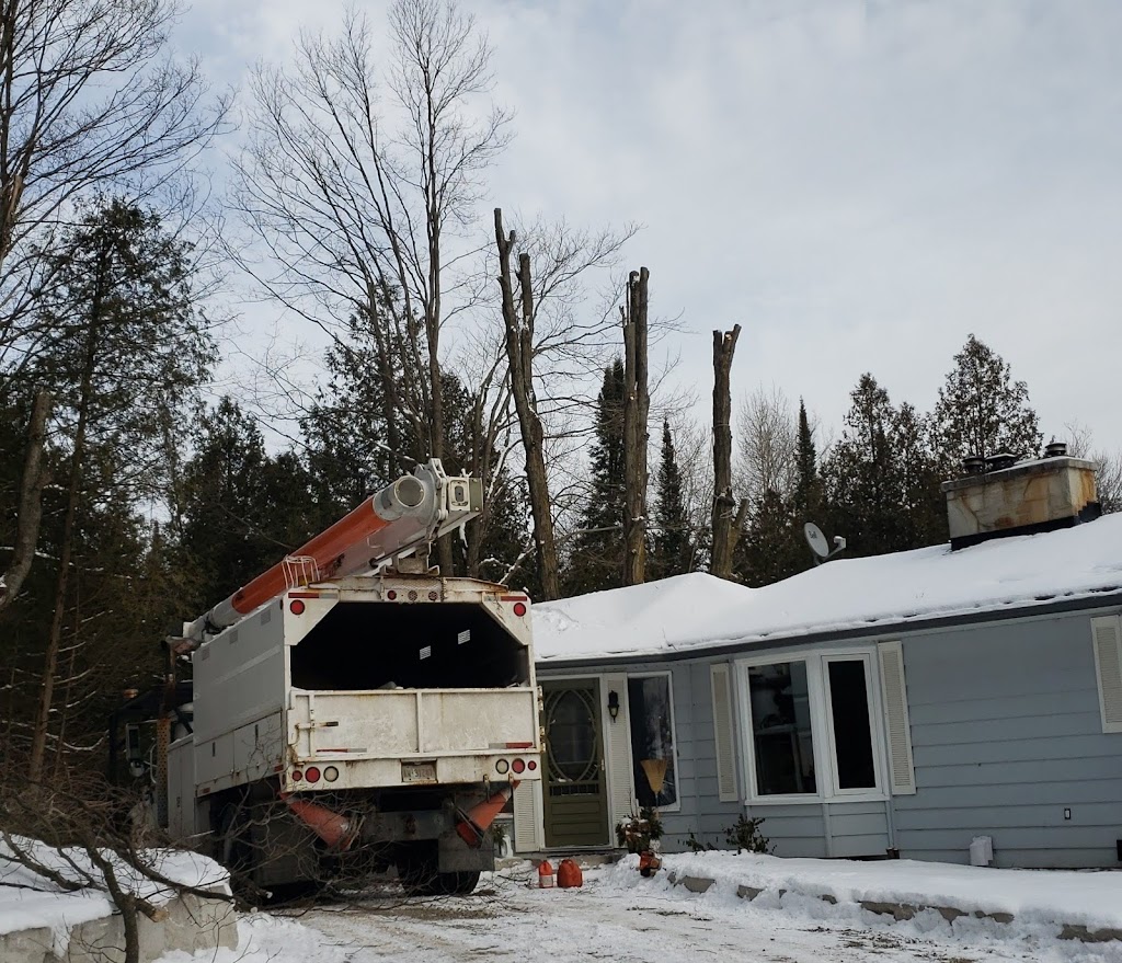 Branchbusters Expert Tree Care | 19625 Main St, Alton, ON L7K 0E1, Canada | Phone: (905) 859-4004
