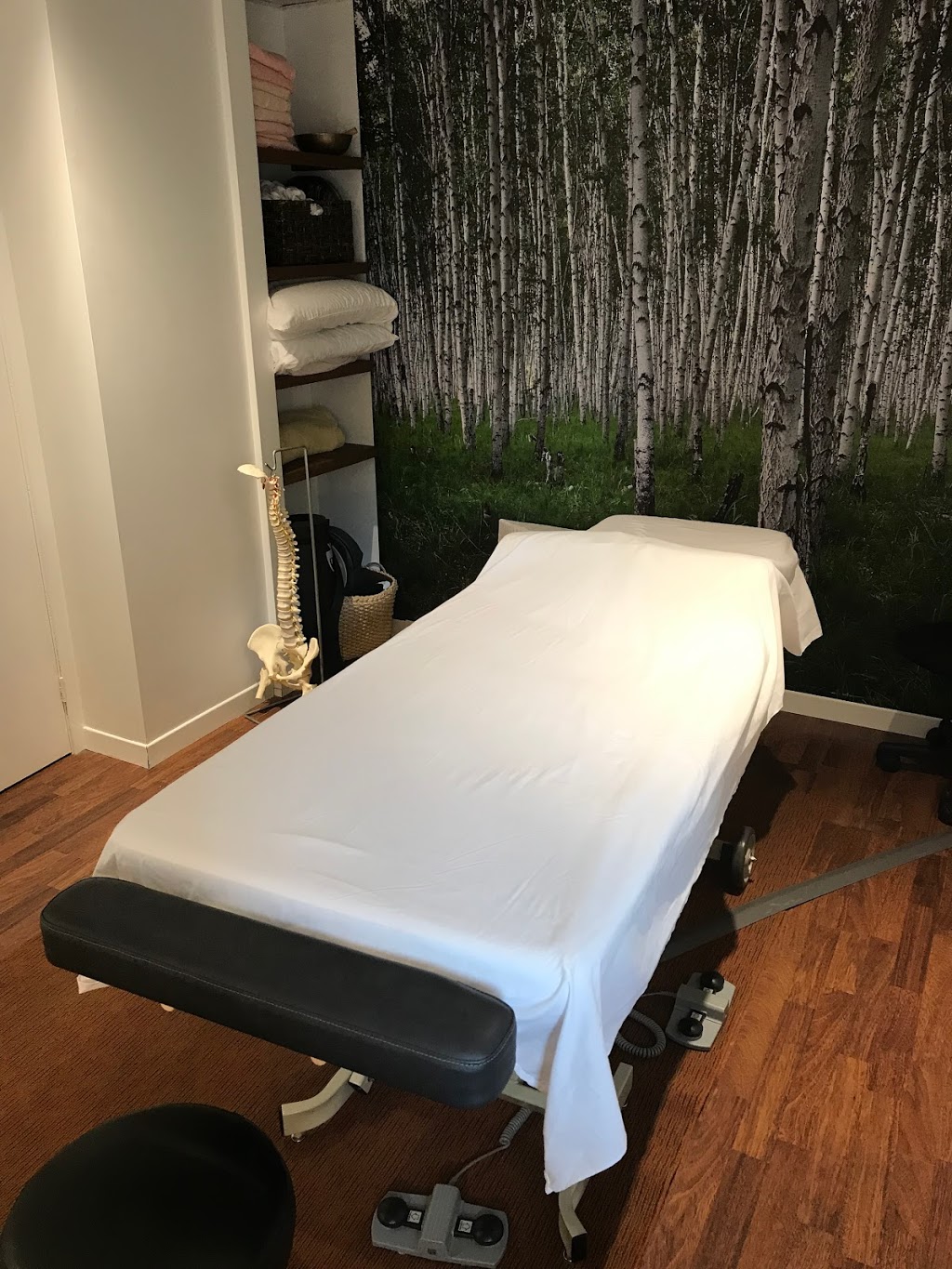 Brigitte Maheux Ostéopathe | 417A Avenue de Gaspé E, Saint-Jean-Port-Joli, QC G0R 3G0, Canada | Phone: (418) 941-1015