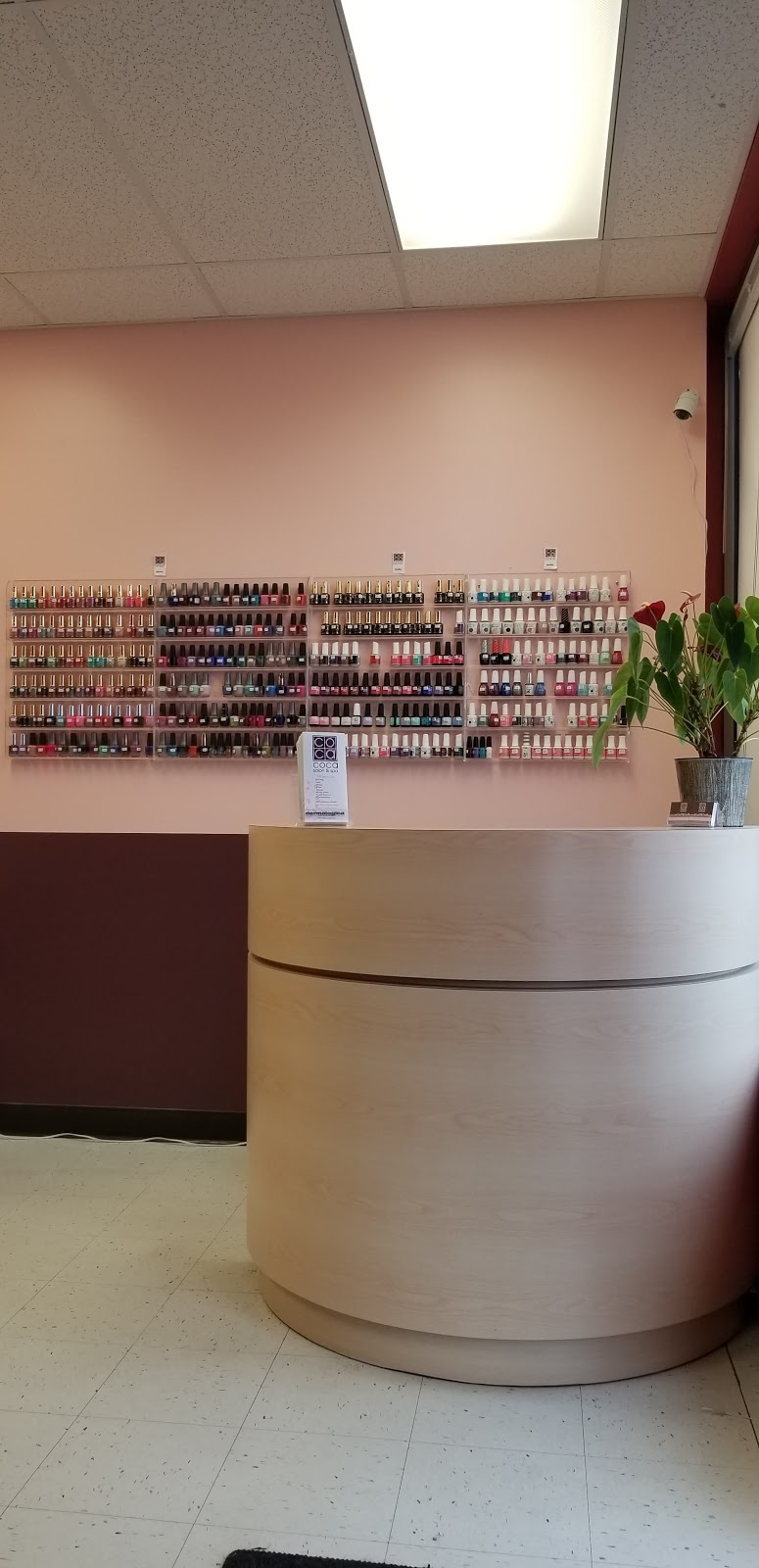 Coca Salon & Spa | 531 Nelson Rd #12, Saskatoon, SK S7S 1P4, Canada | Phone: (306) 477-7100