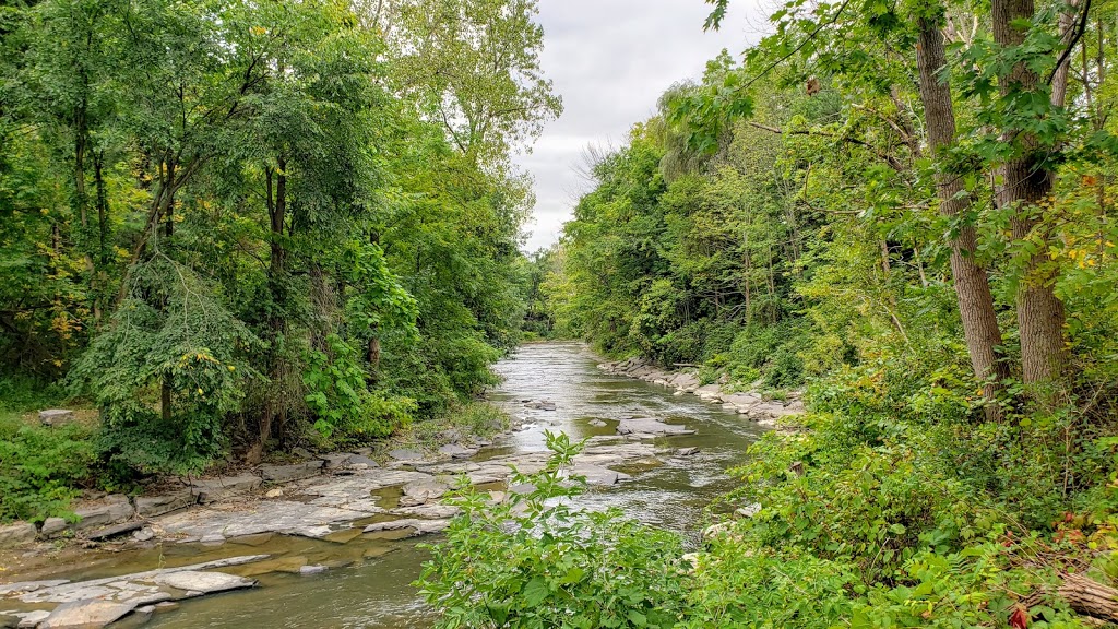Anna Mae Bacon Bird Sanctuary | 1-85 NY-391, Hamburg, NY 14075, USA