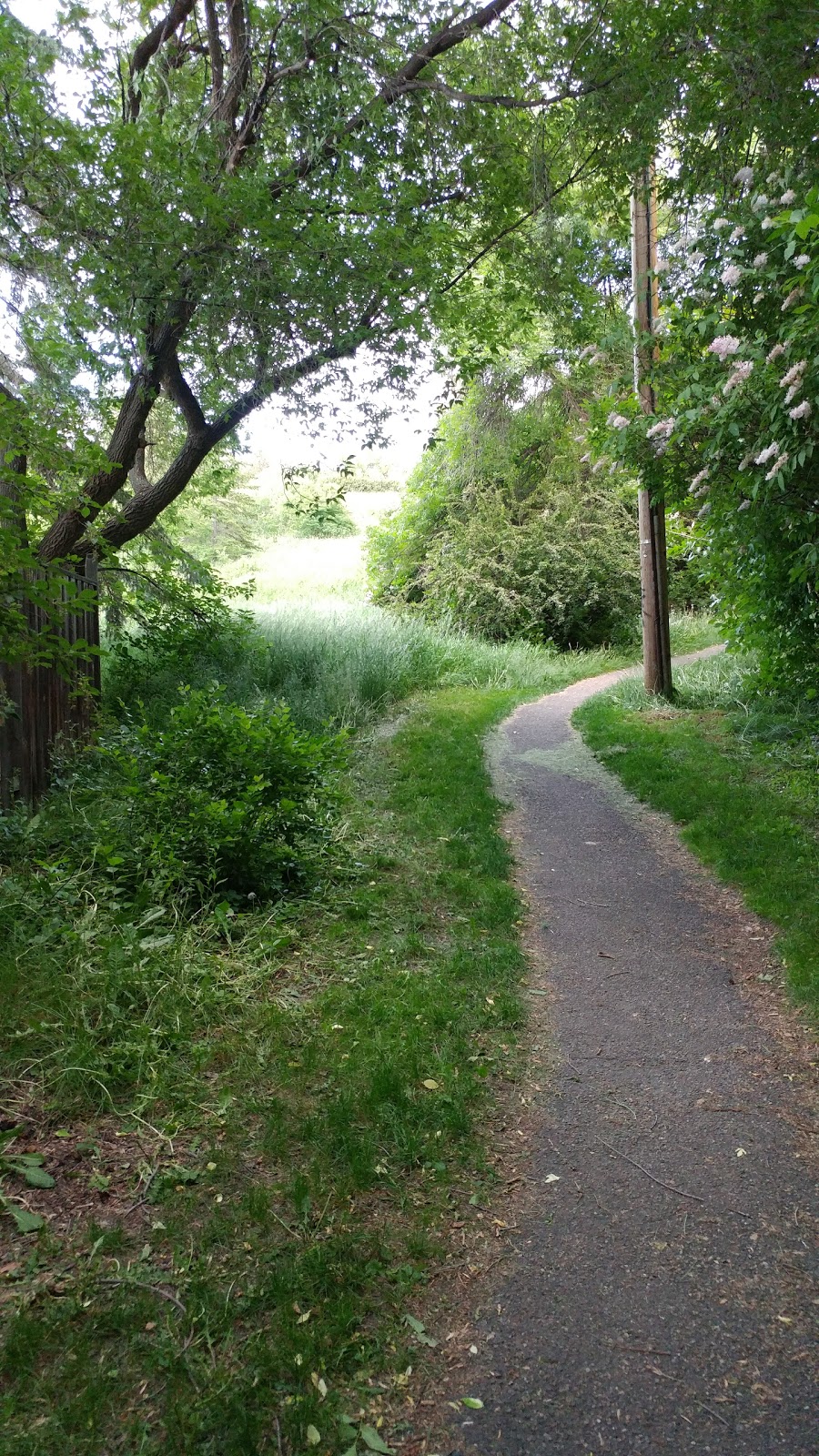 Britannia Off-leash Area | 4403 10 St SW, Calgary, AB T2S 1J4, Canada