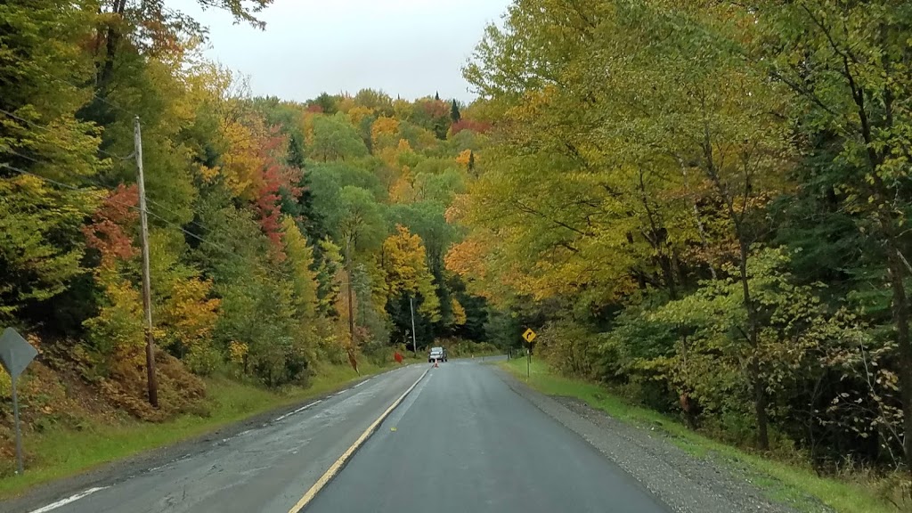 Washburn Family Forest | Clarksville, NH 03592, USA