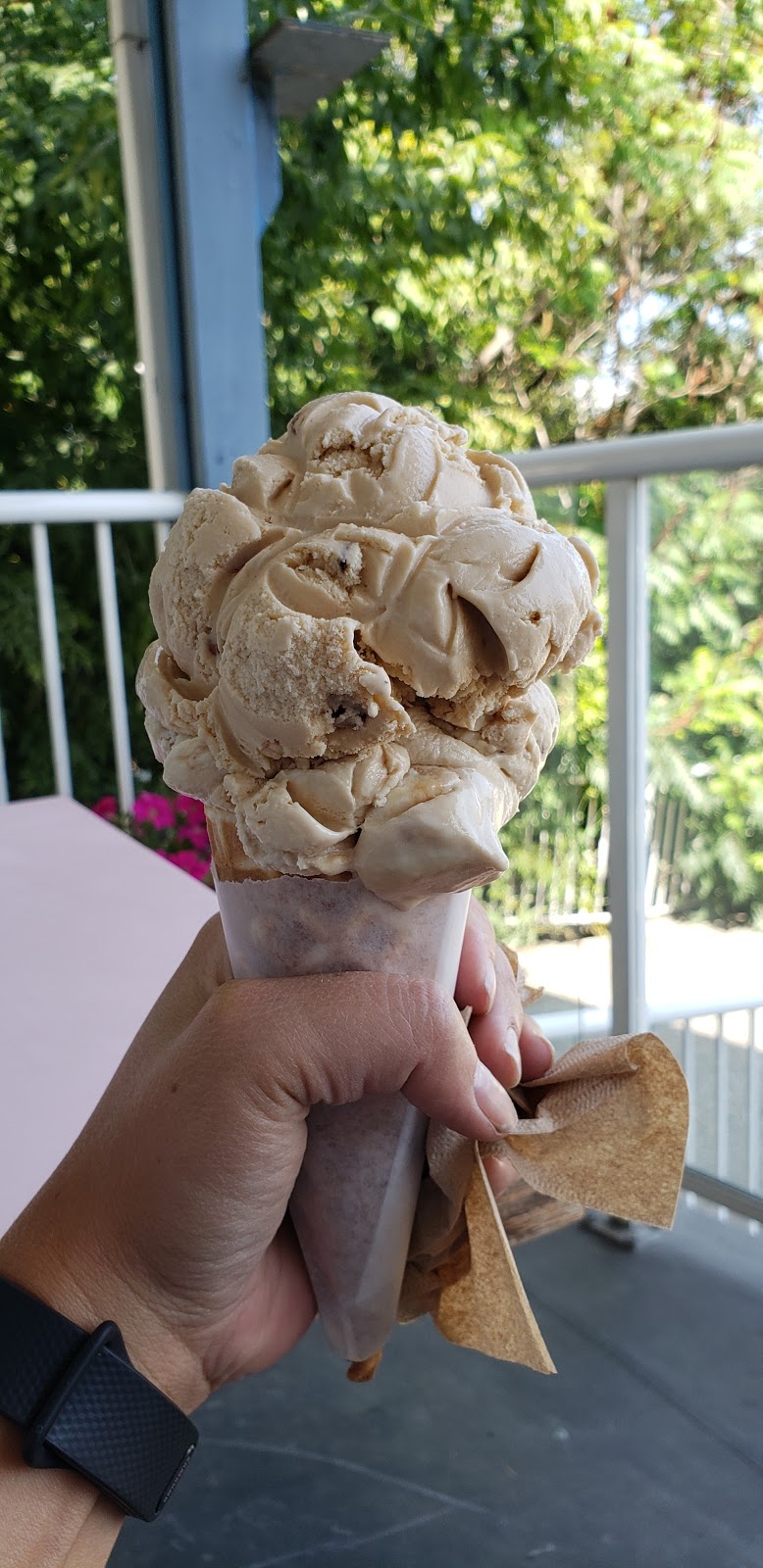 Garden Ice-Cream Parlour | 4202 32 St, Vernon, BC V1T 5V2, Canada | Phone: (250) 545-2221