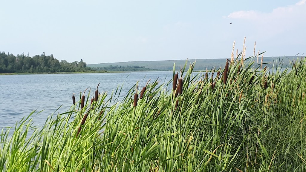 North Buck Provincial Park | Athabasca County No. 12, AB T0A 0R0, Canada | Phone: (780) 689-4602