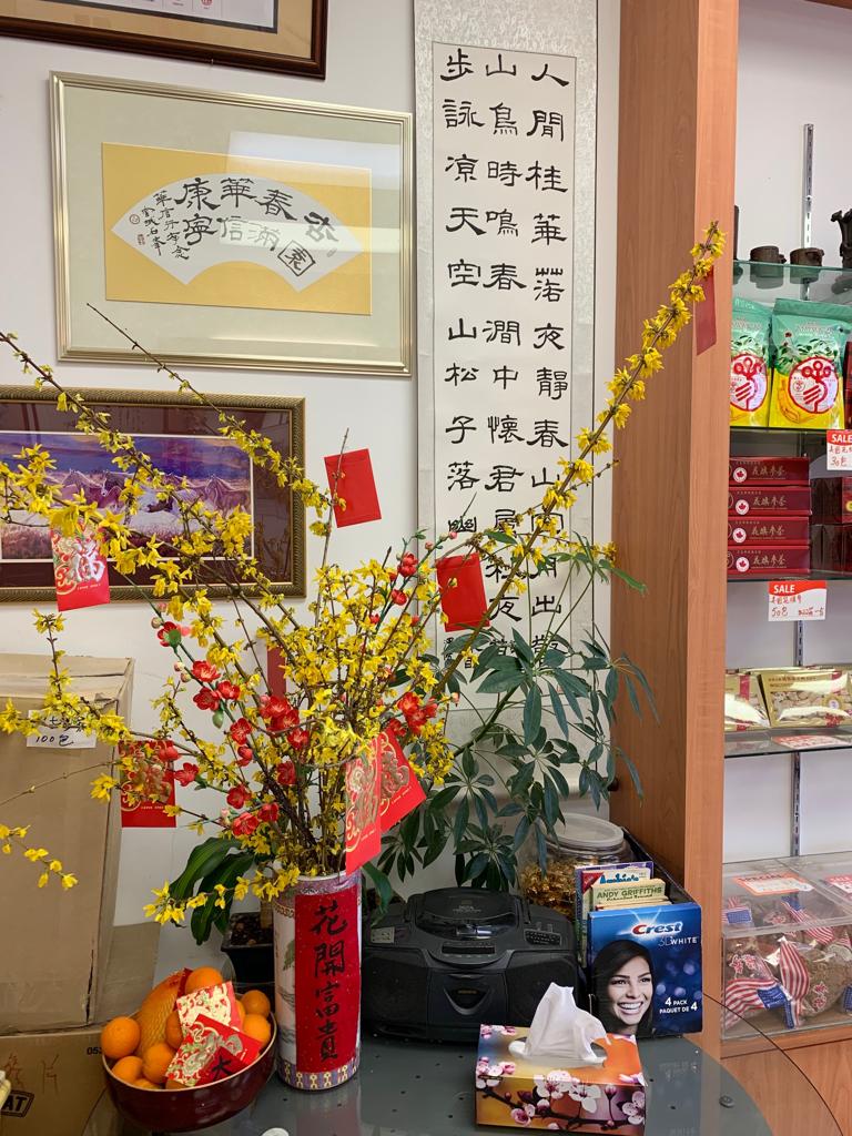 Wah Shun Ginseng Trading Co | 8580 Alexandra Rd #1195, Richmond, BC V6X 4B3, Canada | Phone: (604) 273-2626