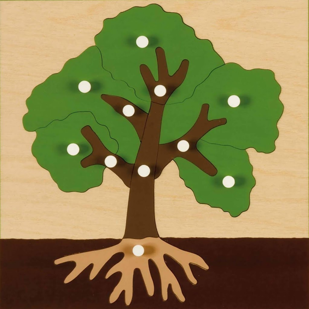 Naturally Montessori | 393 Atkins Ave, Victoria, BC V9B 3A1, Canada | Phone: (250) 507-7000