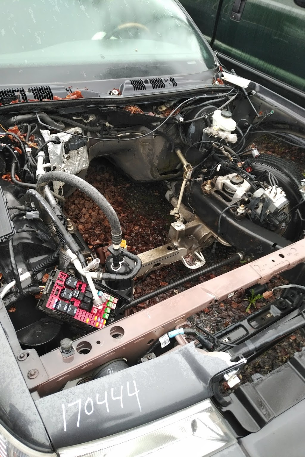 Wasney Automotive Ltd | 6011 Trapp Ave, Burnaby, BC V3N 2V3, Canada | Phone: (866) 526-4266