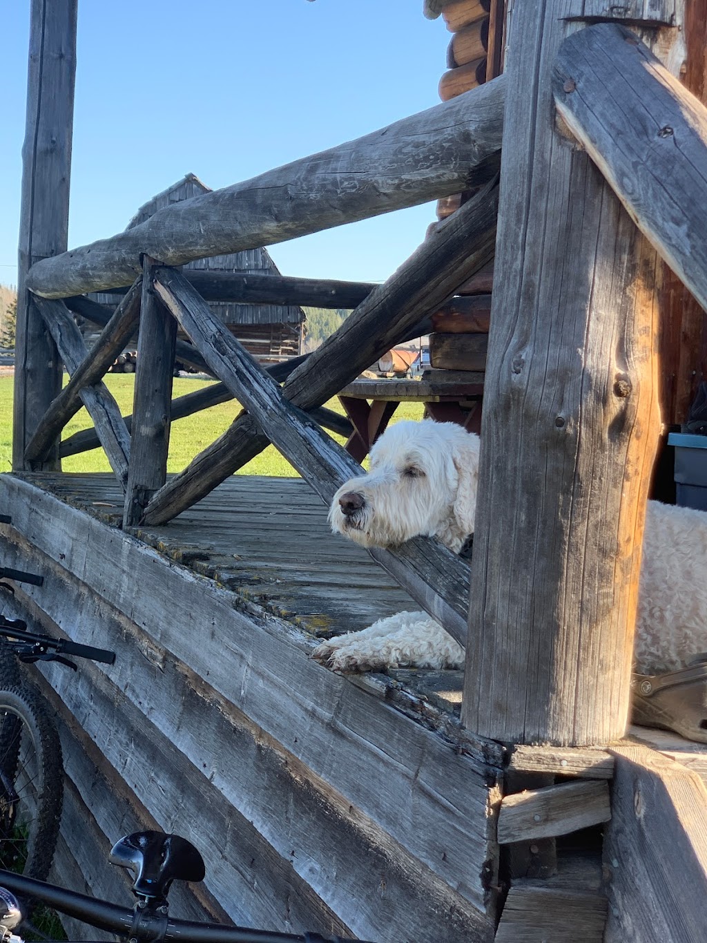 Laughing Raven Resort and Campground | 7669 Double T Rd, Bridge Lake, BC V0K 1E0, Canada | Phone: (250) 593-0110