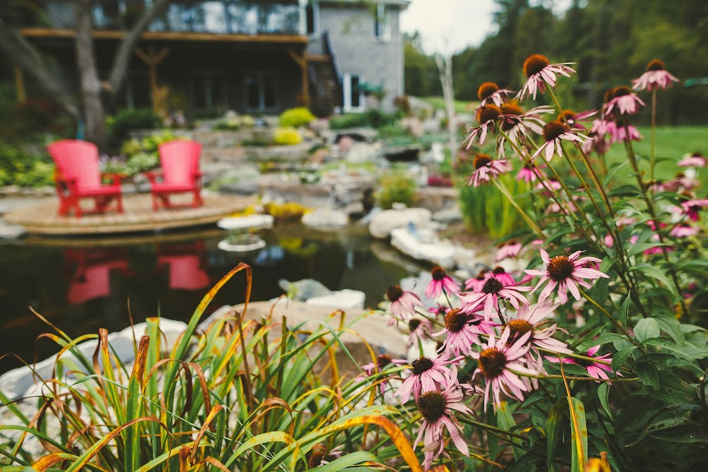 Passion Pool & Pond | 4160 15 Line RR 7, St. Marys, ON N4X 1C9, Canada | Phone: (519) 949-0774