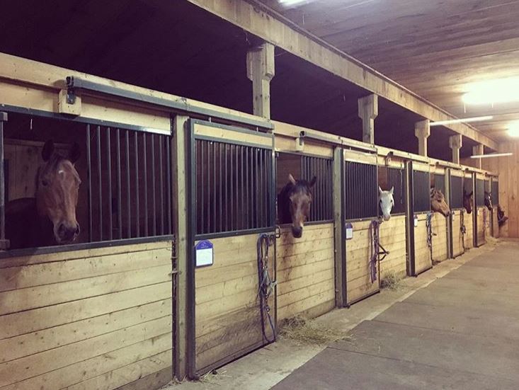 Querencia Stables | 1992 Sandhill Rd, Waubaushene, ON L0K 2C0, Canada | Phone: (705) 970-0001