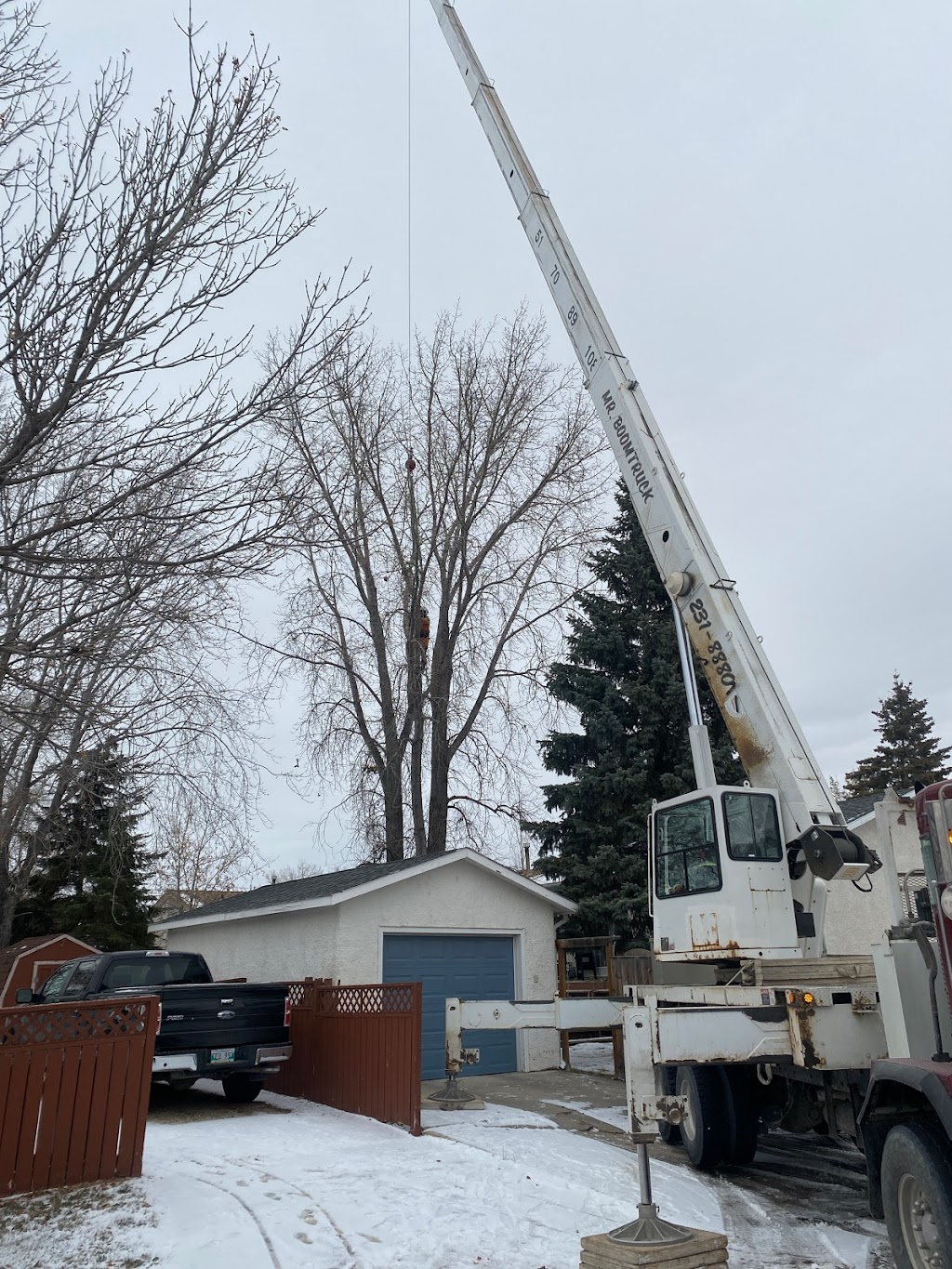 TNT Tree Service Ltd. | 81 Linacre Rd, Winnipeg, MB R3T 3G7, Canada | Phone: (204) 510-8514