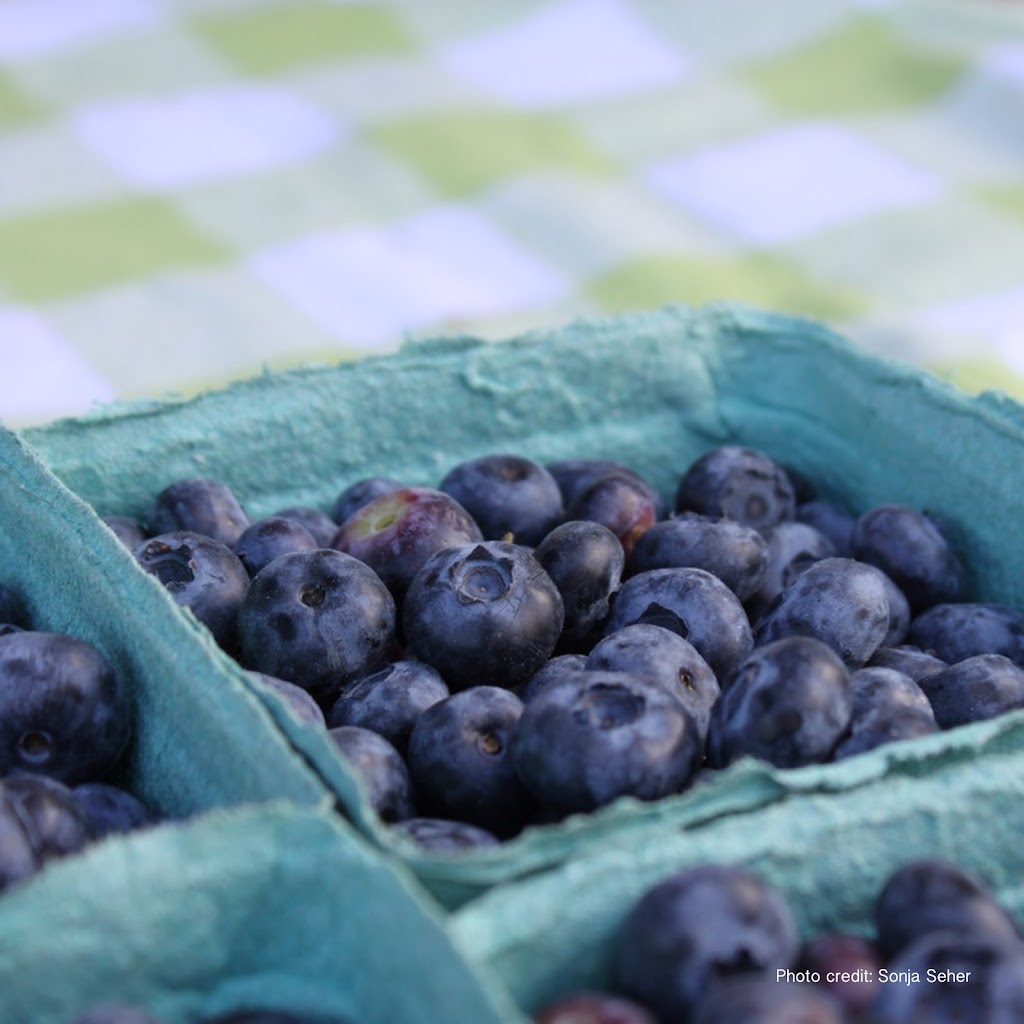 Kimberley Farmers Market | Kimberley, BC V1A 2G6, Canada | Phone: (250) 427-2535