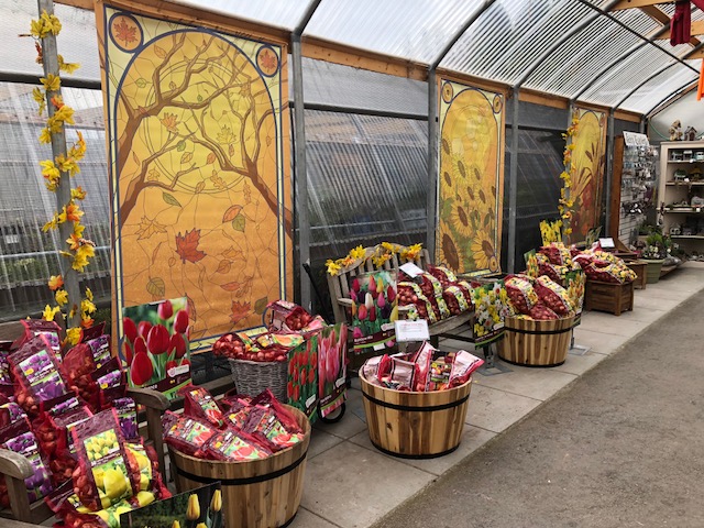 Maple Leaf Garden Centre | 2558 Haywood Ave, West Vancouver, BC V7V 1Y4, Canada | Phone: (604) 922-2613